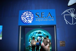 S.E.A. aquarium