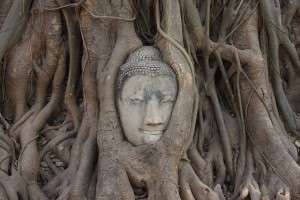 Лицето на Буда в Wat