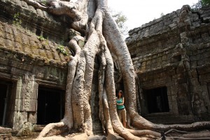 Огромните корени впили се в стените на Ta Phrom